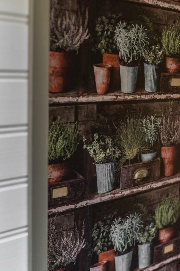 Apartmán Negy Evszak Vendeghaz Noszvaj Exteriér fotografie